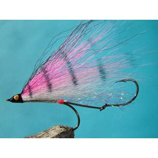 Pink Perch